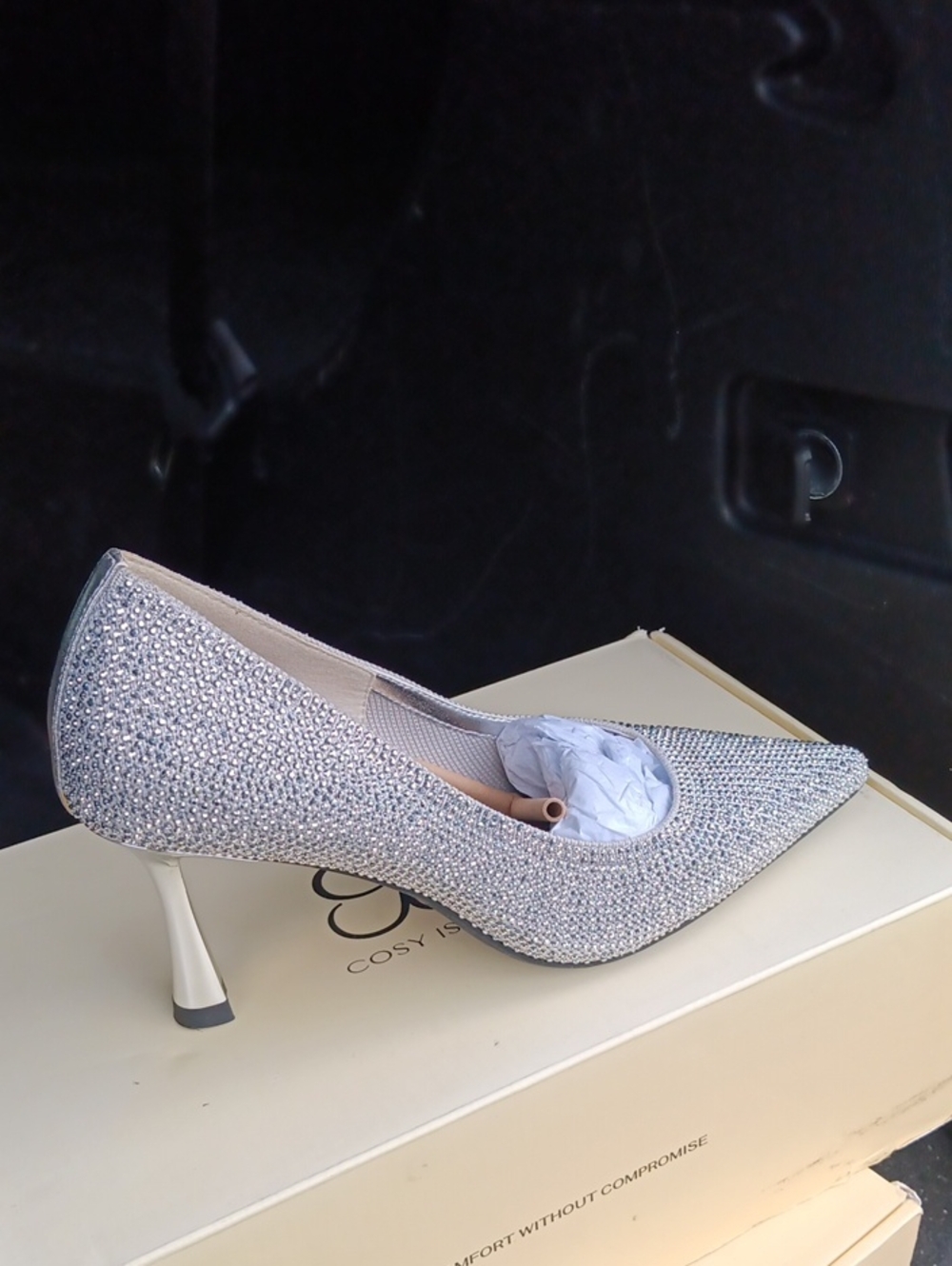 Rhinestone Pointed-Toe Women’s Heel in Silver